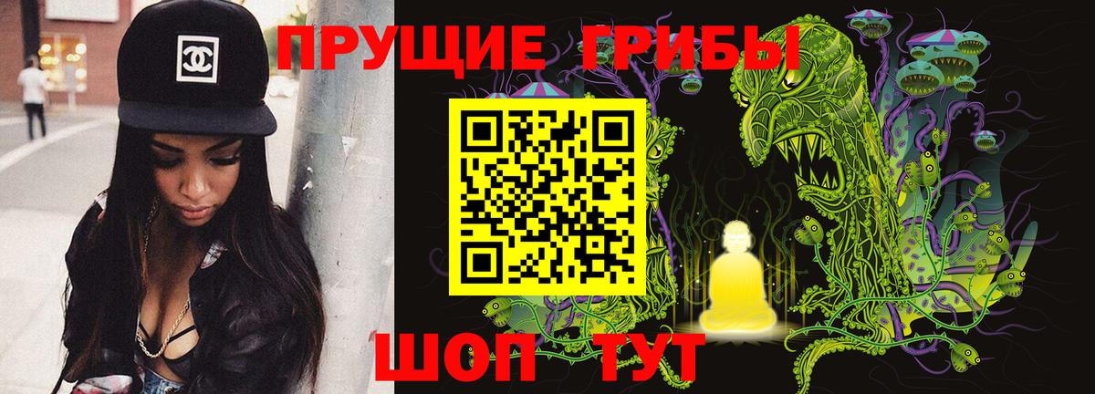 Галлюциногенные грибы Psilocybine cubensis Кольчугино