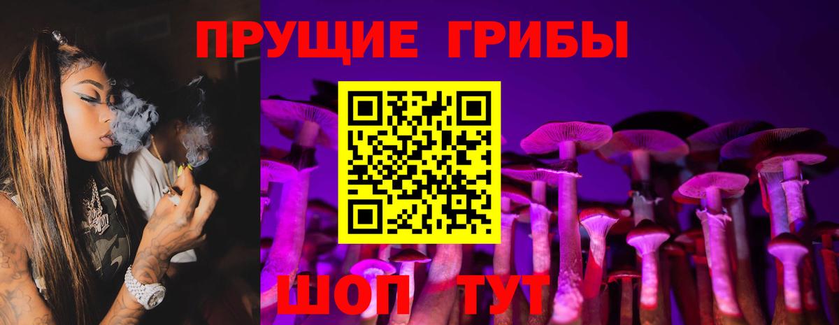 Галлюциногенные грибы Psilocybe  Вход с VPN  дарнет шоп  Кольчугино 